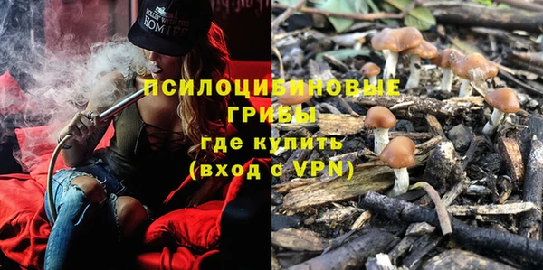 PSILOCYBIN Волоколамск